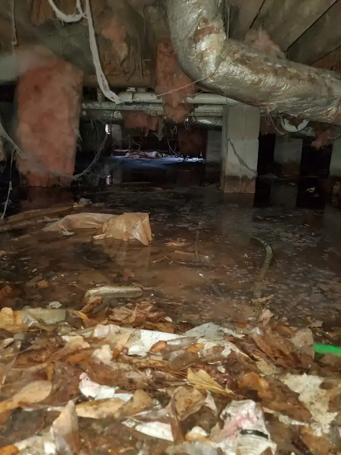Crawl space flood assessment for Leak Detection & Repair in North Hanover